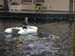 thumbnail043