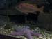 thumbnail111